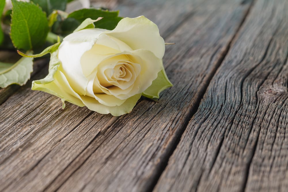 5 Different Ways to Personalise Your Loved One’s Funeral